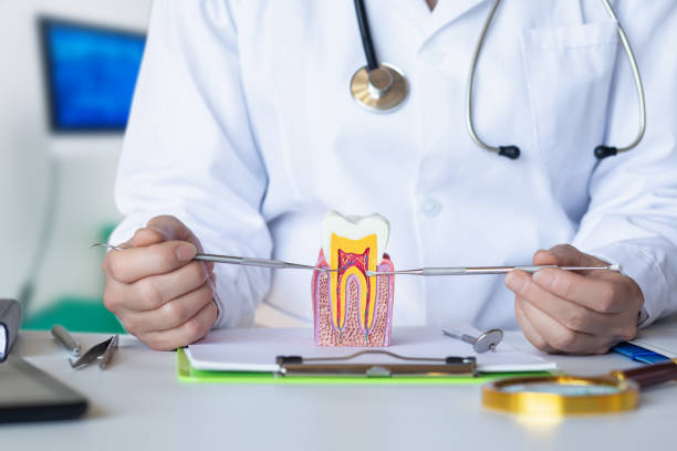 Best Tooth Infection Emergency Dentist  in Cape Carteret, NC